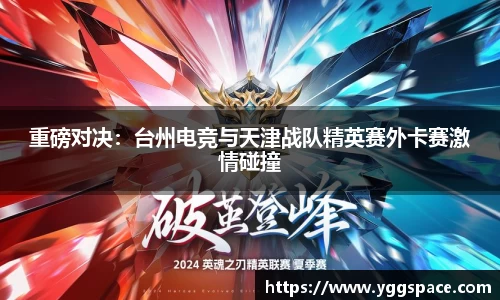 wm视讯平台官网